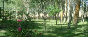 Mini Jardín Botánico en Borobia