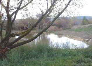 Imagen del Jardín Botánico de Borobia 2